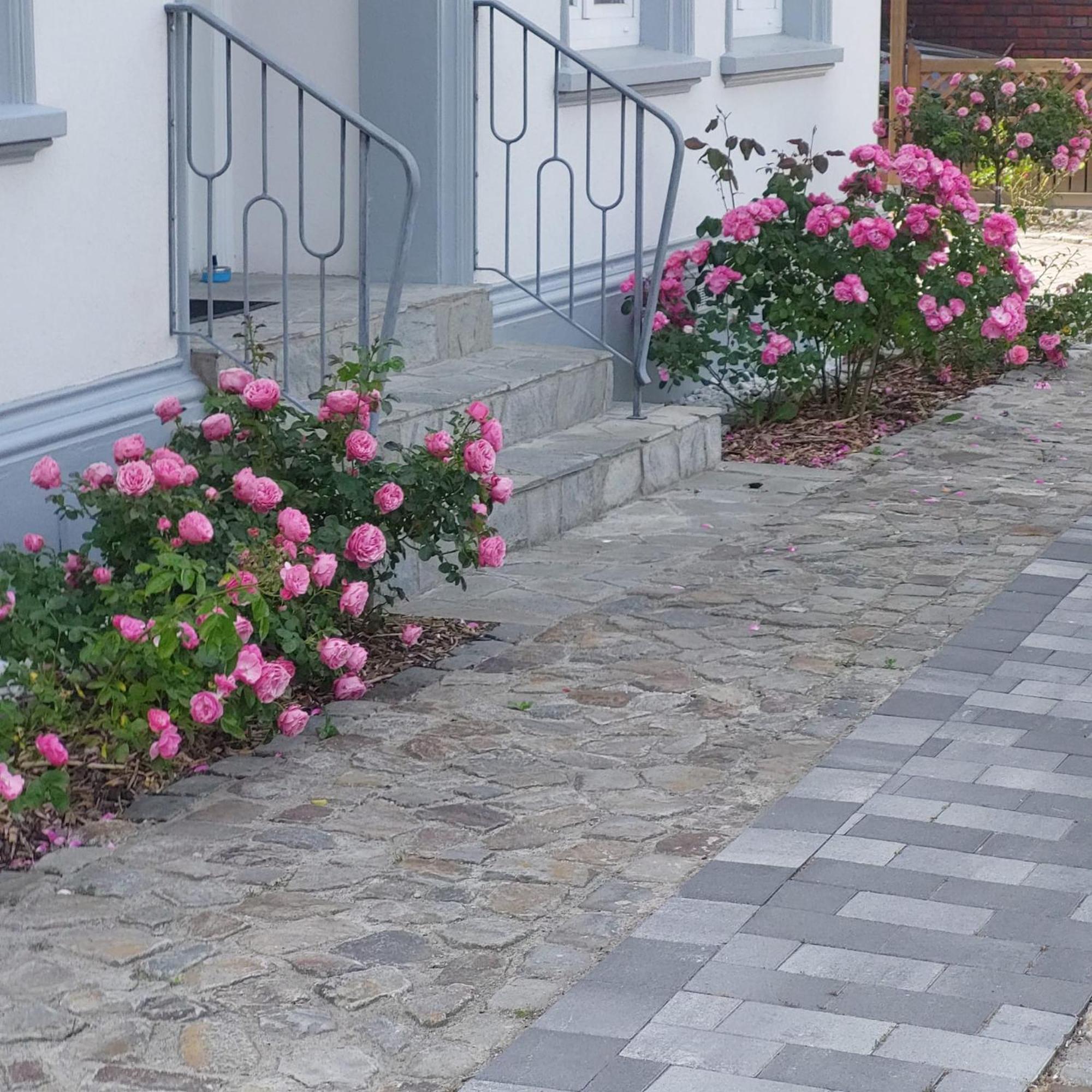 Apartamento Privatunterkunft Im Erdgeschoss Nordenham Exterior foto